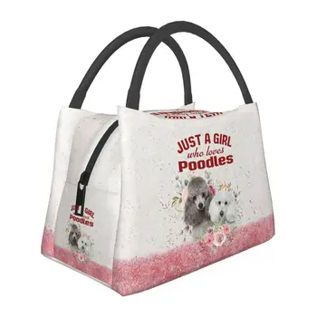 Женские сумки для ланча с изоляцией Love Poodle Dog, Сменный кулер для милого щенка, Термальная коробка для Бенто, Пляжный кемпинг, путешествия - Изображение 1  