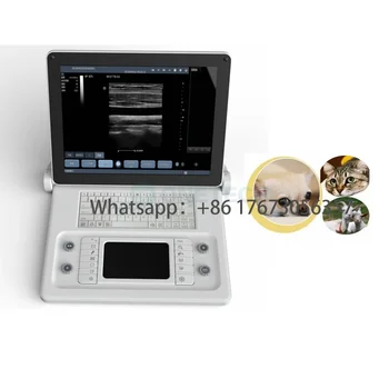 Клиники и стационары Рекомендуют Портативный ультразвуковой сканер B51Vet Ветеринарный ультразвуковой планшет Hine Price - Изображение 1  