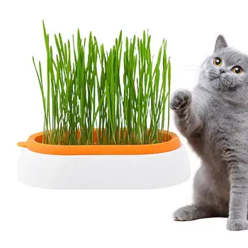 Ящик для растений для домашних кошек, гидропонный горшок для выращивания кошачьей травы, не содержащий почвы, Кошачьи снеки для проращивания, горшок для питомника, ящик для выращивания - Изображение 1  