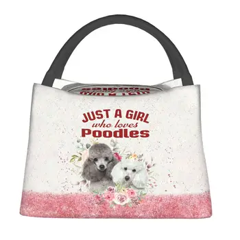 Женские сумки для ланча с изоляцией Love Poodle Dog, Сменный кулер для милого щенка, Термальная коробка для Бенто, Пляжный кемпинг, путешествия - Изображение 2  
