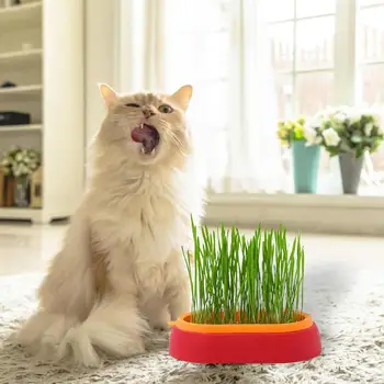 Ящик для растений для домашних кошек, гидропонный горшок для выращивания кошачьей травы, не содержащий почвы, Кошачьи снеки для проращивания, горшок для питомника, ящик для выращивания - Изображение 2  