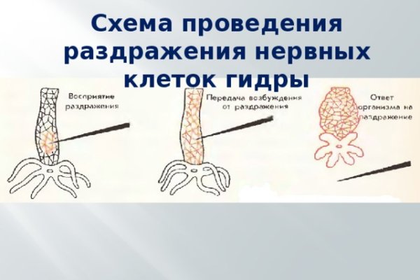 Кракен ссылка 2025