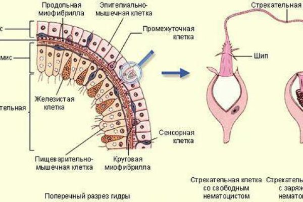 Кракен ссылка на тор официальная онион