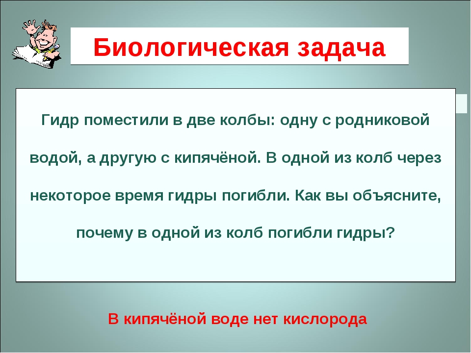 Кракен последние ссылки