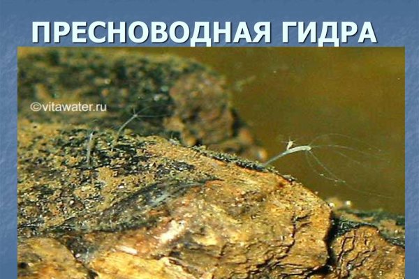 Кракен ссылка замена
