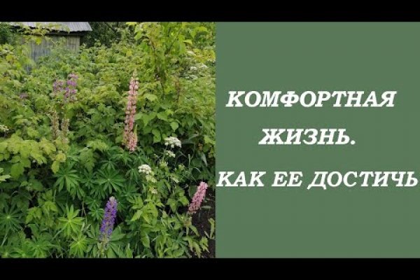 Кракен даркнет только через