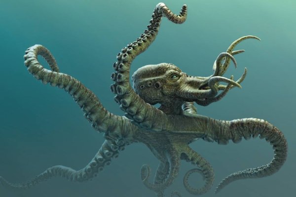 Kraken зеркало kraken link top