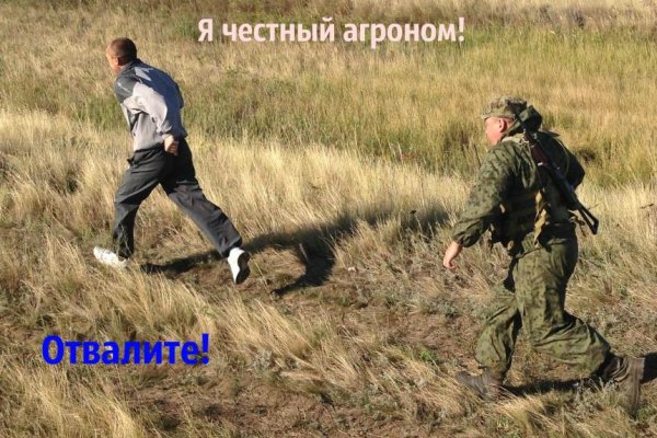 Kraken даркнет рынок ссылка