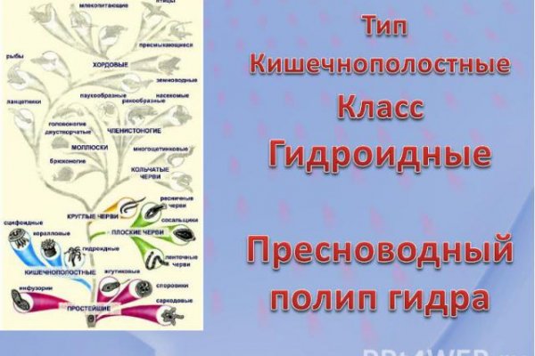 Кракен 12at сайт