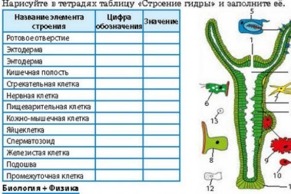 Кракен тор ссылка сегодня